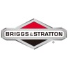 Briggs & Stratton
